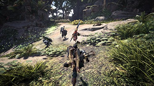 Monster Hunter: World - vue 6