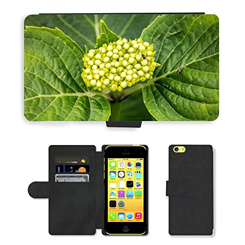 Just cover Hot Style telefono cellulare CUBRE