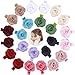 inSowni 24pcs Alligator Hair Clips Barrettes Accessories Rose Flower for Baby Girl Toddlers (12 Pairs S6)