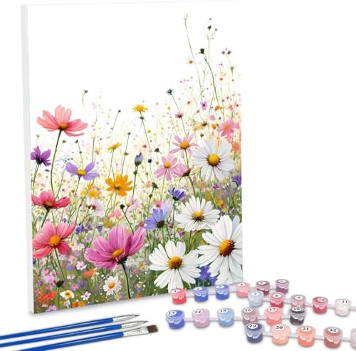 Pintar por Numeros Adultos, DIY Campo de flores silvestres Pintar por Numeros Manualidades Adultos, 20x30cm Pinturas Acrílicas con Números para Principiantes, Cuadros Decor Salon Modernos Y-901