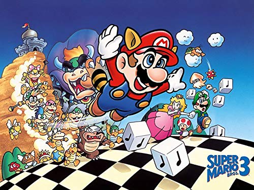 Amazon.com: Pyramid International Super Mario Bros 3 Art Canvas