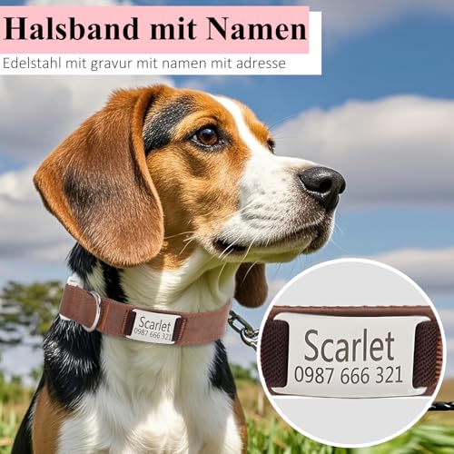 Hundehalsband mit Namen Telefonnummer - Halsband Hund Personalisiert, Bequeme, Einzigartige Halsbänder, Geeignet für Kleine, Mittelgroße und Große Hunde und Katzen(S,Braun)