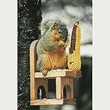 Songbird Essentials SE547 Squirrel Feeder Chair (Set of 1)