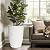 Flomiara Set of 2 Tall Round Planters, Large Outdoor Planter with Drainage Holes & Trays, 18 Inch Long Plastic Flower Pots for Plants, Decorative Garden Pot for Indoor Patio Front Porch Decor, White