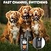 Dog Training Collar - Rechargeable Dog Shock Collar w/3 Training Modes, Beep, Vibration and Shock, Rainproof Training Collar, Up to 1000Ft Remote Range, Adjustable Shock Levels Dog Training Set
