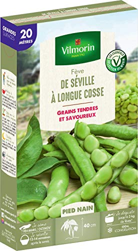 Vilmorin Frijol de Sevilla con vaina larga, caja serie20m, verde