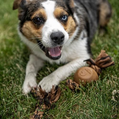 Carhartt Pet Pet Toys, Rope Pull, OS, Carhartt Brown/Dark Brown