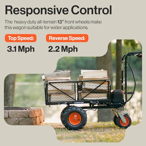 Carrito de servicio SuperHandy utilidad con batería de litio 48V 4Ah [Paquete] miniatura 5