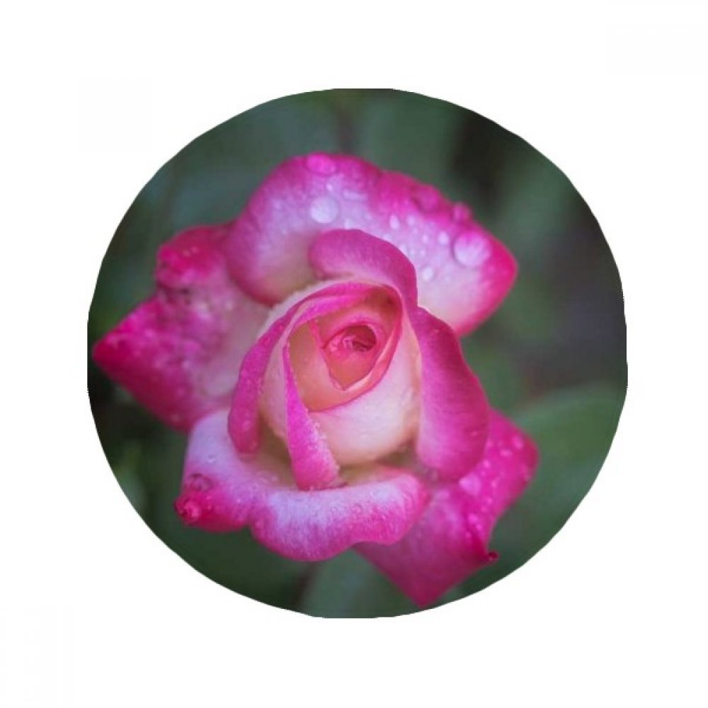 Tapis rose petals belle fleurs de qualité supérieure antidérapant 50cm