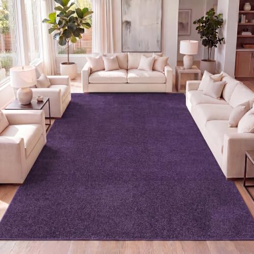 JONATHAN Y Haze Solid Low-Pile Purple Indoor Area Rug 5x8, Coastal,Bohemian,Minimalist,Classic, Easy-Cleaning for Living Room,Bedroom,Kitchen,Pet Friendly,Non-Shedding (SEU100N-5)
