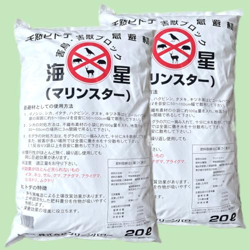 VRqgf  y}X^[z 20L×2 CmVV VJ nNrV ^kL b΍ 悯 悯 bQ΍