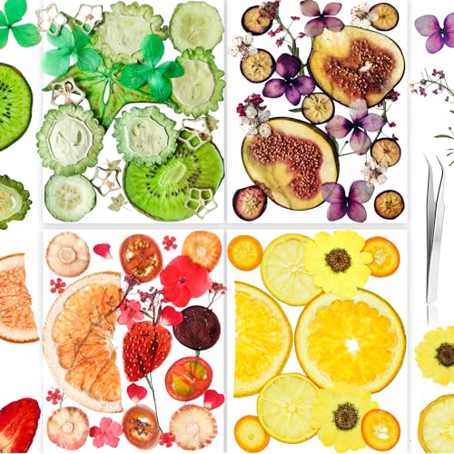 Image of 70PCS+ Nature Dried Pressed Fruits Flowers for Resin Mold, Real Dry Pressing Floral Set for DIY Jewelry Making Nail Card Scrapbook Art Craft Fruits Style