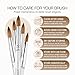 PANA Pure Kolinsky Hair Nail Brush - Round Clear Acrylic Handle (Size 10) - Nail Brush for Nail Application, Nail Extension, Manicure Pedicure Salon Beginner and Professional