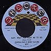 don't mess up a good thing / jerk loose 45 rpm single #2