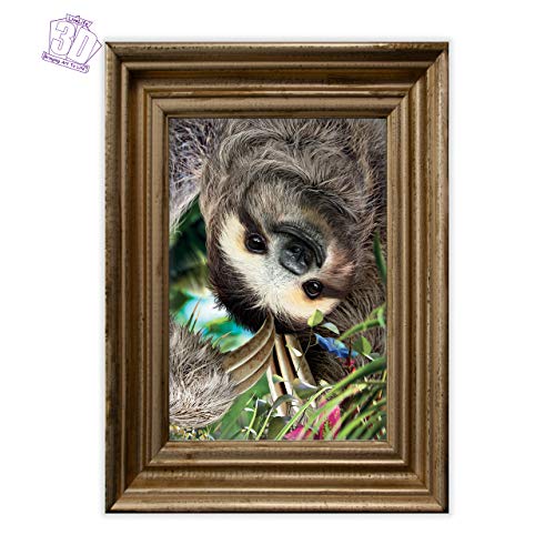 3D Livelife Lenticular Wall Art Prints - Hangin' Around From Deluxebase. Unframed 3D Sloth Poster. Perfect Wall Decor. Original Artwork Licensed From Renowned Artist, David Penfound #TOP3