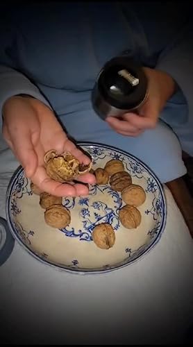 Mastrad