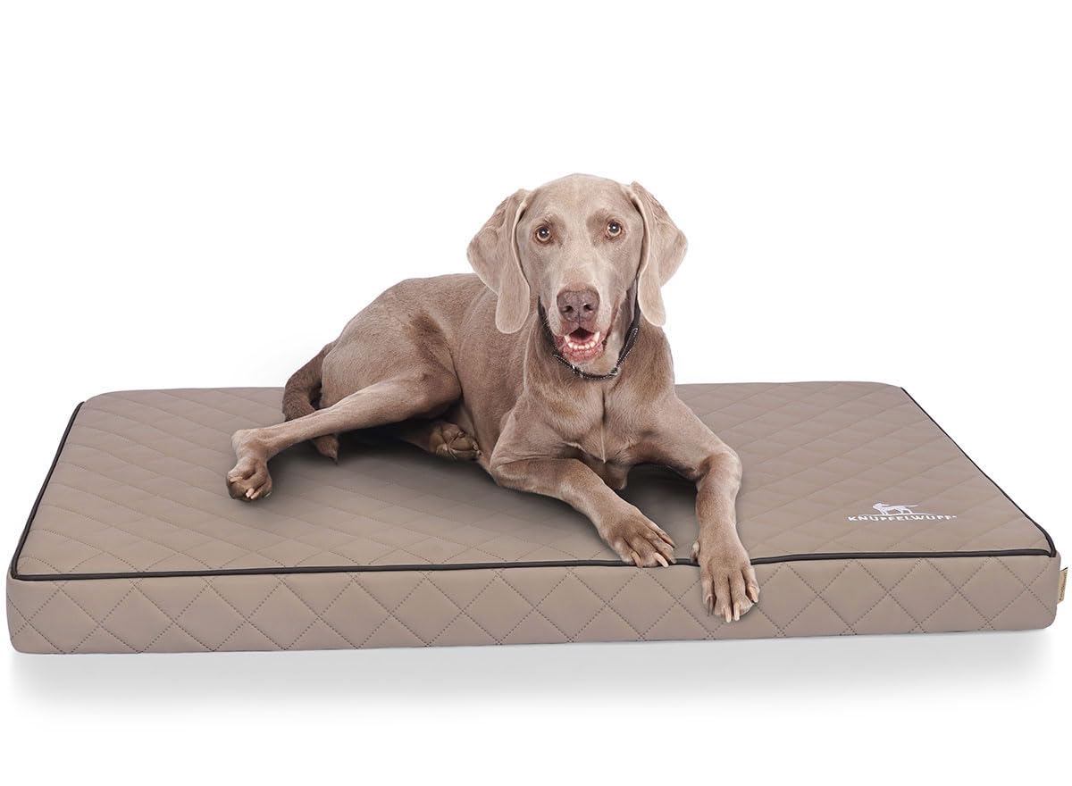 Knuffelwuff Tapis orthopédique pour chien, Coussin orthopédique Juna, similicuir surpiqué au laser, gris 136x84x10cm