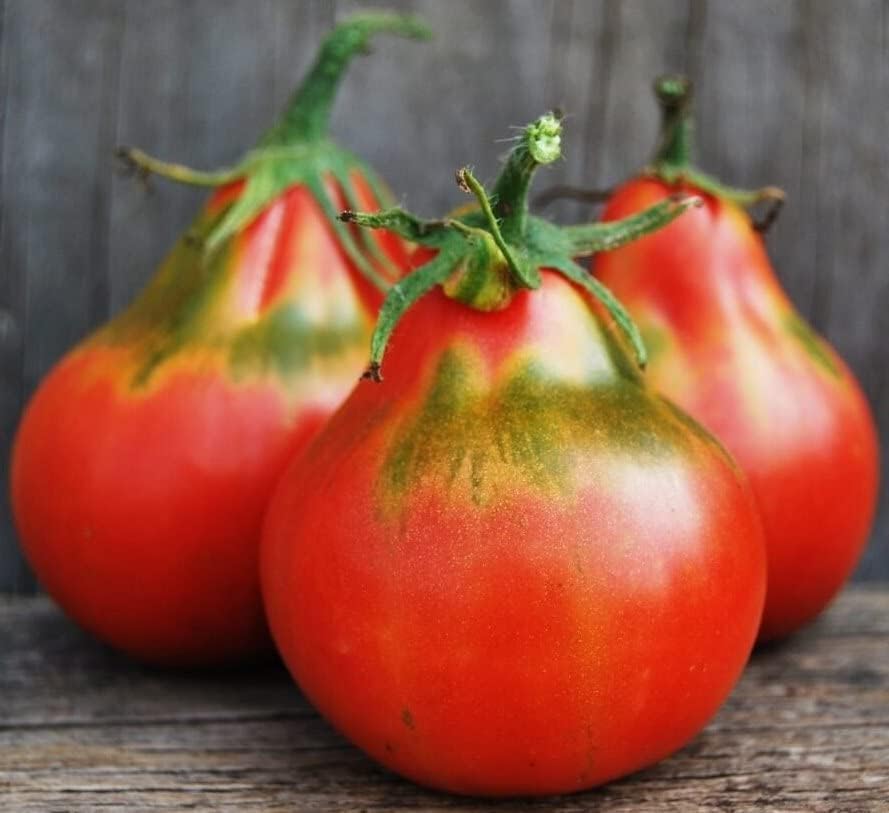 Miniatura 9 de Semillas Trufa Roja Tomate Japonés Indeterminado No GMO Heirloom