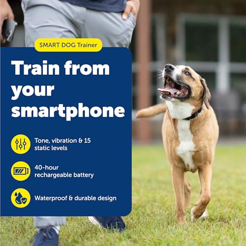 PetSafe Smart Dog Trainer - App Controlled Dog Collar for Training - Bluetooth Wireless System - Adjustable Fit Collar with Safe Stimulation & Multiple Correction Levels - Image 3