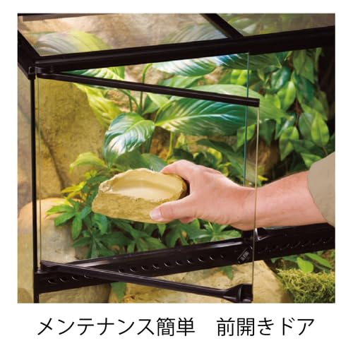 GEX EXOTERRA グラステラリウム 9045 PT2613 Amazon | GEX EXOTERRA グラステラリウム 9045 PT2613 両開き