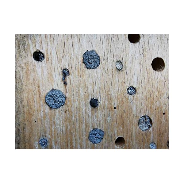 Insektenhotel / Bienenhaus / Nisthilfe aus Buche Massivholz für Wildbienen & solitär lebende Wespen – Bild 6