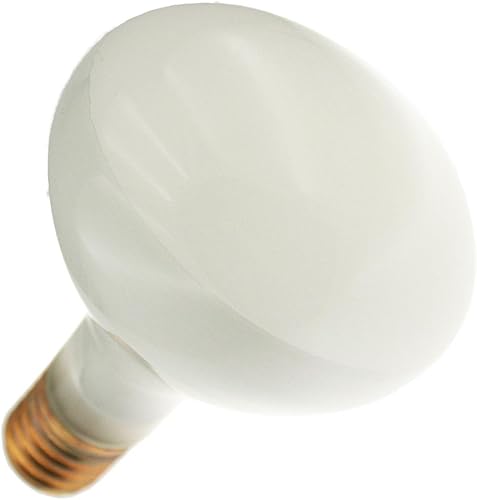 300R403FL 130V, 300 W, BR40, Mogul Screw (E39) Bombilla de inundación con base (1 bombilla)