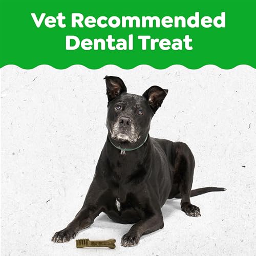 Greenies Dental Treats for Dogs, Veterinarian-Recommended Aging Care Adult Natural Dental Dog Treats, Petite Size, 27 oz. Pack, 45 Count
