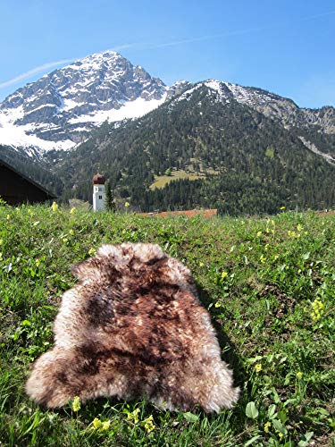Felltrade Merino Schaffell Lammfell Fell echt groß 120-130 cm weiß-braun geflammt ökologische Gerbung