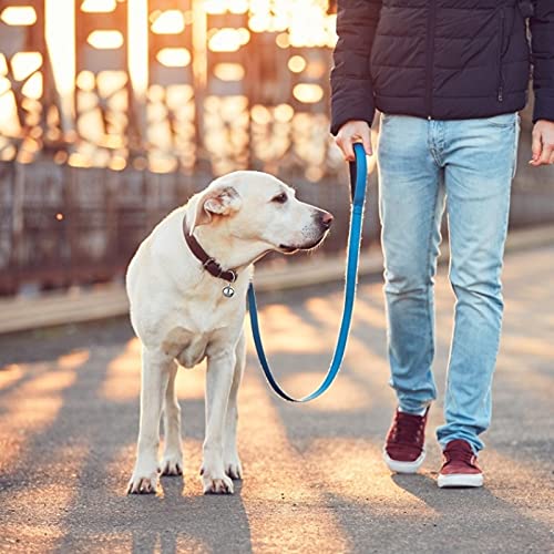 Molain 24 Stück Katzenglocken mit Schlüsselanhänger Hundehalsbandglocken, Trainingsklingel Halsbandanhänger Haustierzubehör Festival Party DIY kleine Glöckchen (Silber)