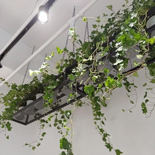 Étagères de décoration flottantes et suspendues pour optimiser les petits espaces - 2