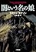 闇という名の娘: The HULDA TRILOGY #1:DIMMA (小学館文庫 ヨ 1-4)