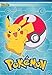 Amscan 371859 Pokemon Party Plastic Loot Bags, 8ct