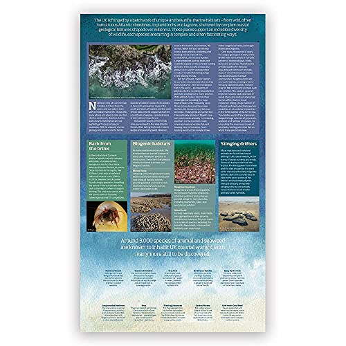 Wild Coasts Lot de présentation 2021 collection prestige épurée