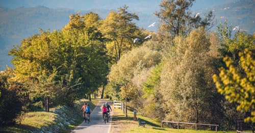 Trentino- Alto Adige: l'Anello dei 6 laghi, la ciclabile dell'Adige e in snow bike nell'Alpe Cimbra