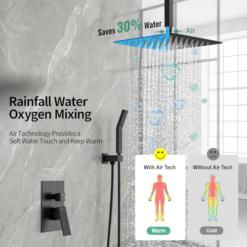 Image of SR SUN RISE 12 Inch Ceiling Mount Rain Shower System,Matte Black