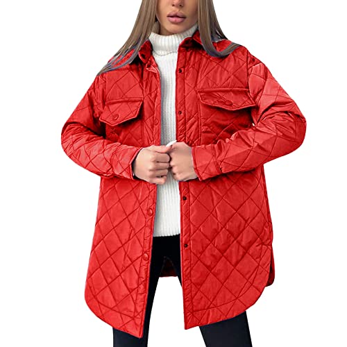 Manteau gilet polaire long pour femmes pour l'automne et l'hiver