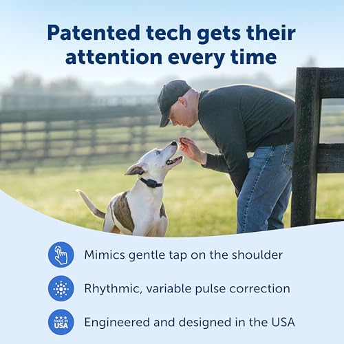 PetSafe Core Dog Trainer Remote Collar, 1000 Ft Range, 15 Static Levels | Tone/Vibration//15 Levels of Static, Waterproof Collar, 1000-Ft Range for Off-Leash Obedience Training - image 3