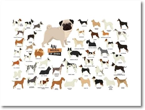 Amazon Co Jp 品種の犬コレクションイラストアートパネルポスター印刷素敵な動物キャンバスアートパネル絵画インテリア写真北欧壁アートパネルペットショップ家装飾40x60cmいいえフレーム 家電 カメラ Amazon Co Jp 品種の犬コレクションイラストアートパネルポスター印刷素敵な動物キャンバスアートパネル絵画インテリア写真北欧壁アートパネルペットショップ家装飾40x60cmいいえフレーム 家電 カメラ