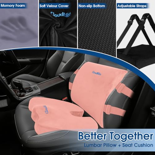Image of CloudBliss Lumbar Support Pillow & Seat Cushion Set for Office Chair, Desk Chair, Wheelchair & Car - Memory Foam Back Support, Ergonomic Chair Cushions, Sciatica Pain Relief, Home Essentials(Pink,XL)