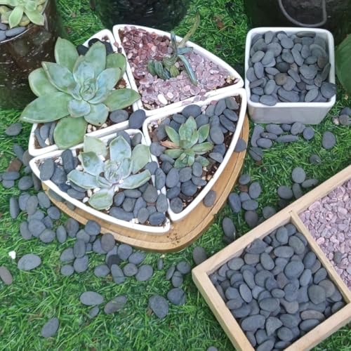 Image of 45lb River Rocks Pebbles for Plants & Succulents, Decorative Outdoor Landscaping Garden Rocks, Natural Small Mexican Beach Pebbles Aquarium Rocks Gravel for Fish Tanks Vase Yard Decor