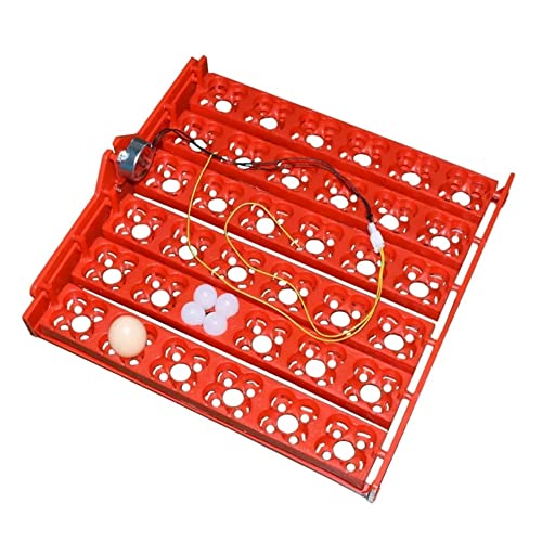 Bandeja Giratoria para Huevos - Capacidad de 36 Huevos - Con Motor de Volteo Automático de 220V - Medidas 43 x 41,7 x 5,2 cm - Color Rojo - Accesorio de Incubadora - Weiqian Cover