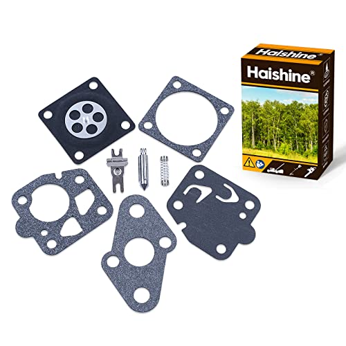 Haishine Kit di Riparazione Carburatore per