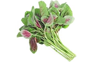 500 Non-GMO Amaranth Seeds for Planting: Enhance Your Home Vegetable Garden with Superfood Goodness