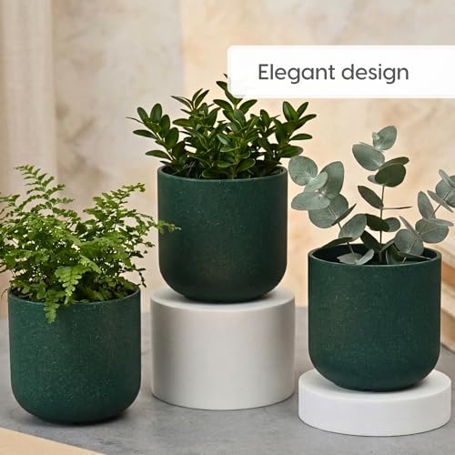 Image of Eha Earth-Friendly Terrapod Planters for Home Decor | 3.5 Inch, Pack of 6 | Small Plant Pot Made with Rice Husk Biocomposite | Flower Pot for Living Room | Fern