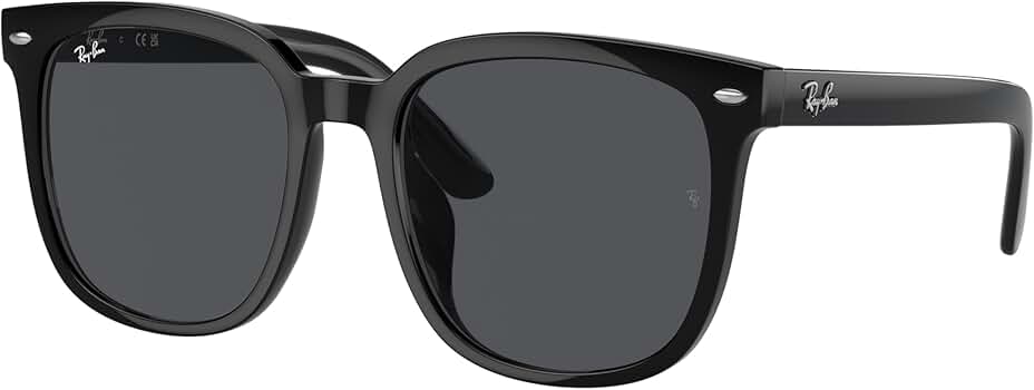 Ray-Ban RB4401D Sunglasses Bundle: RB 4401D 601/87 Black