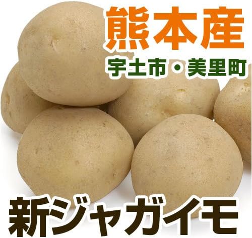Amazon あいあい 熊本県産 ジャガイモ 熊本宇土 美里産 500 700g 野菜セット同梱で 九州 野菜 じゃがいも じゃが芋 根菜 株式会社あいあい じゃがいも 通販 Amazon あいあい 熊本県産 ジャガイモ 熊本宇土 美里産 500 700g 野菜セット同梱で 九州 野菜 じゃがいも じゃが芋 根菜 株式会社あいあい じゃがいも 通販