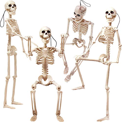 LOCOLO 4-Pack 15.7 Inches Halloween Skeleton with Movable/Posable Joints, Plastic Skeleton for Halloween Decoration