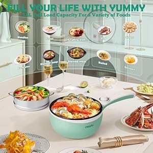 Dezin hot pot electric upgraded non stick saute pan rapid noodles electric pot 15l mini portable hot pot for steak egg fried rice ramen oatmeal soup with power adjustment  urban country home decor