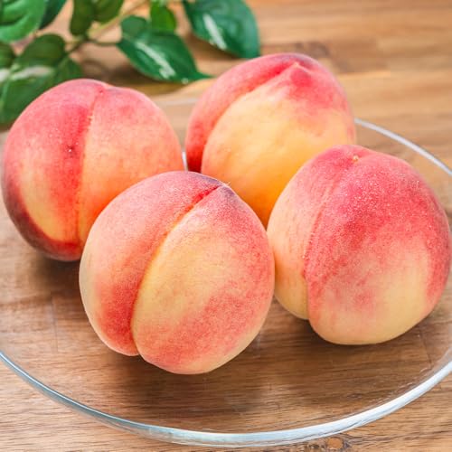 [先行予約]もも 桃 品種おまかせ 白桃 ご家庭用 約5kg(10~25個程度) 2026年産 山形県産 ※沖縄・離島への配送不可  