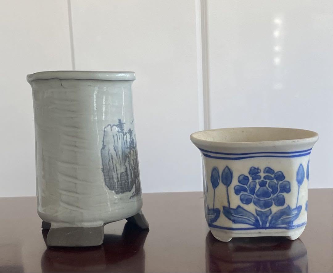 Amazon.co.jp: 国産 絵付け 盆栽鉢 植木鉢 2個セット : DIY・工具